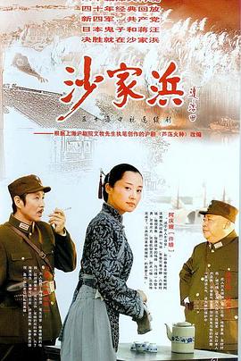 沙家浜2006 第14集